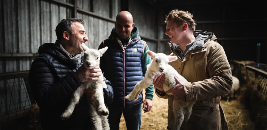 rp222_Hangar7_King_slider3