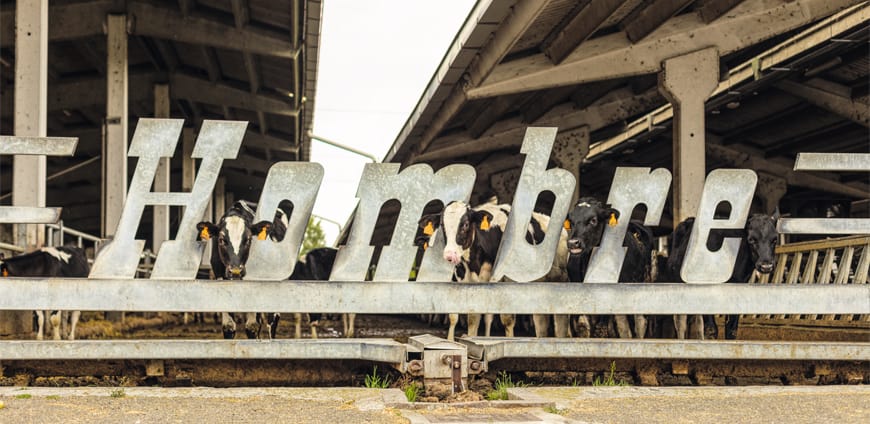 rp222_PiP_bio_hombre_slider3