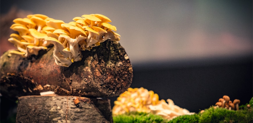 rp223_CD_heinz_reitbauer_slider2