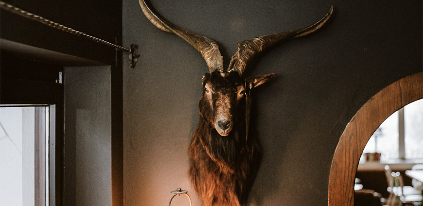 rp224_gip_schellhorn_slider3