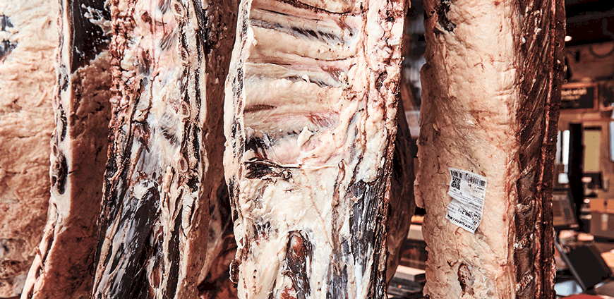 rp227_wenisch_slider3