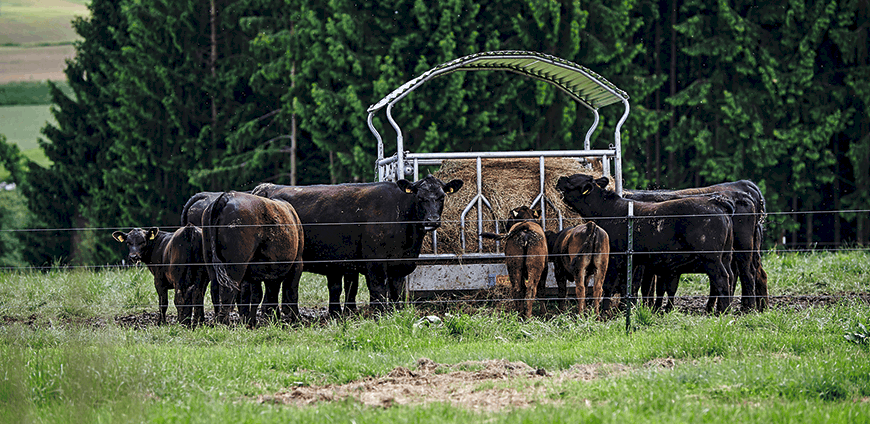 rp227_wenisch_slider9