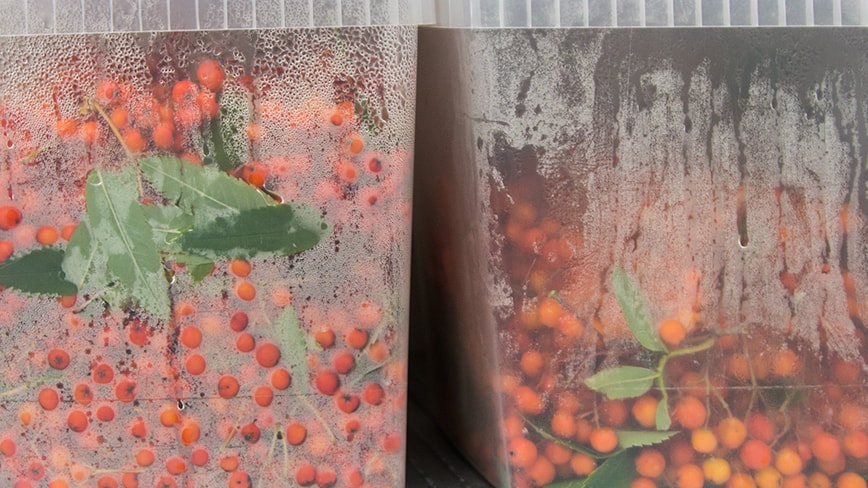 science-bunker-fermentation-4