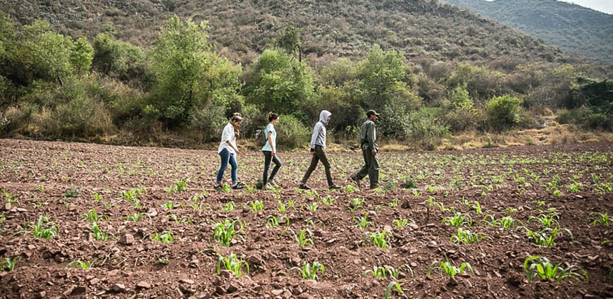 suedamerika-03-slider