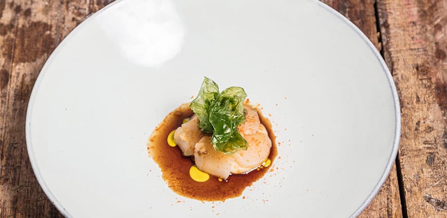 tulus-lotrek-04-slider