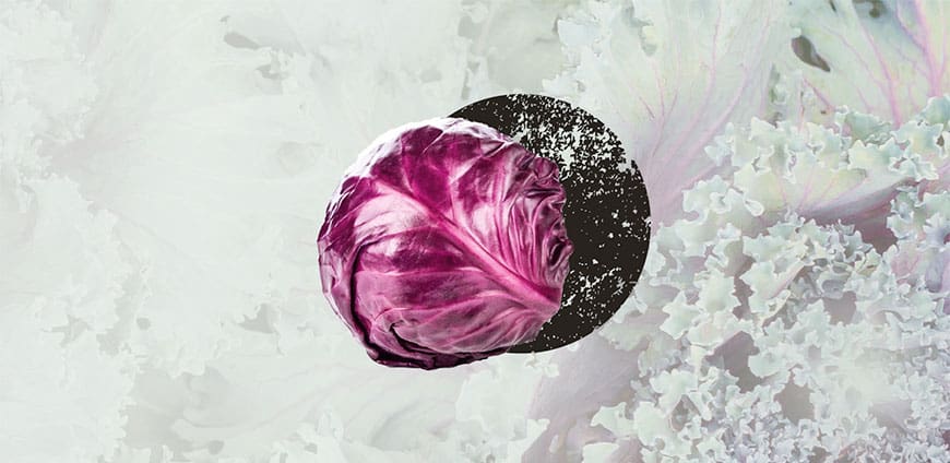 wintergemuese-03-slider