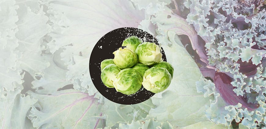 wintergemuese-05-slider