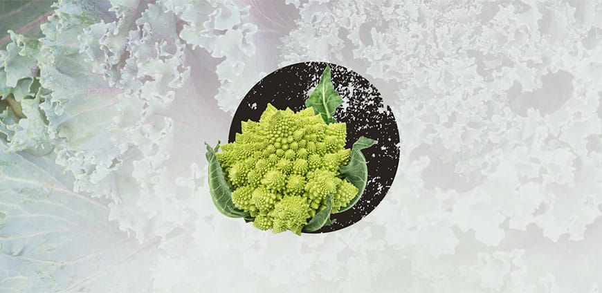 wintergemuese-11-slider