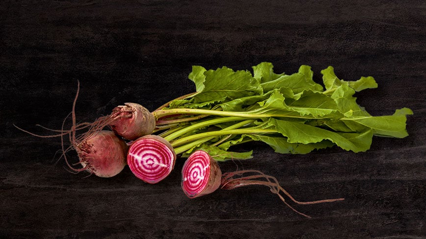 wurzelgemuese-chioggia-slider6