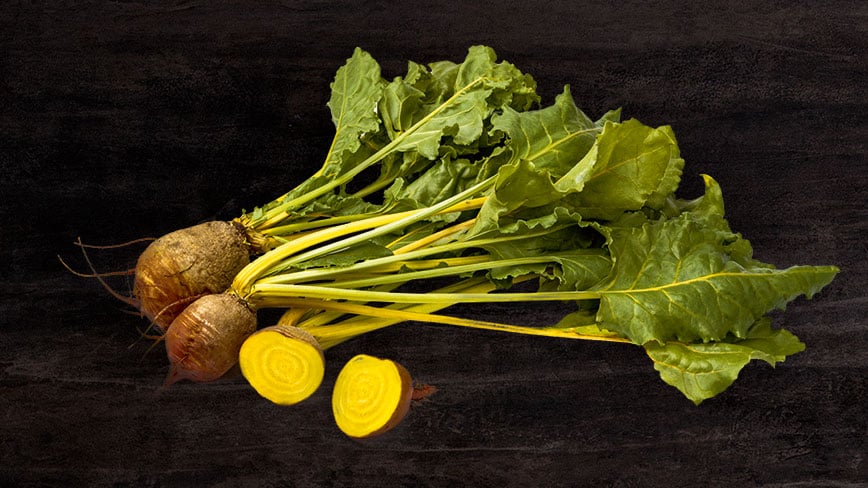 wurzelgemuese-golden-slider2