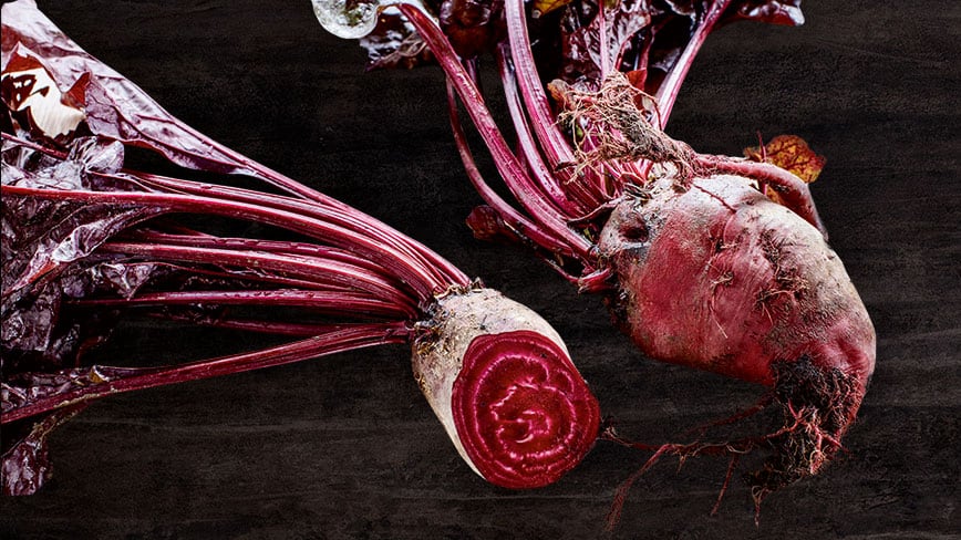 wurzelgemuese-non-plus-ultra-slider1