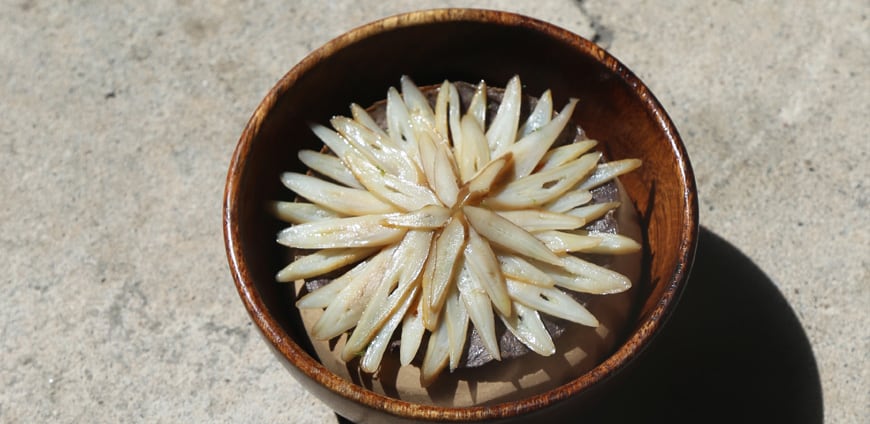 3_BestFemaleChef_Slider