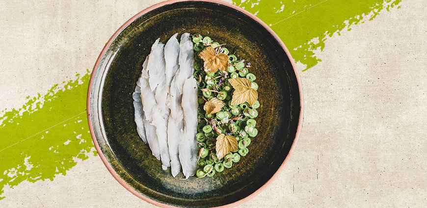 RP237-PR-METRO-slider4