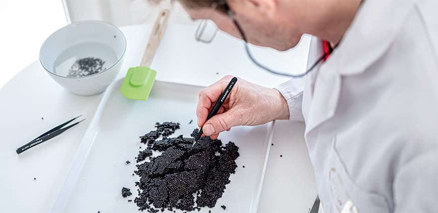 RP237-kaviar-slider9