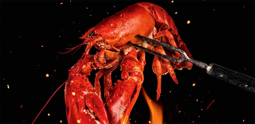 rp236-mediadaten-slider3