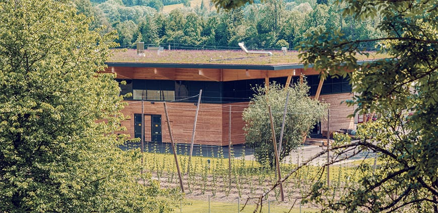 rp238_PIP-Thalheimer_slider4