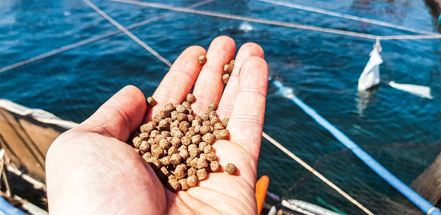 rp238_aquakulturen_slider5