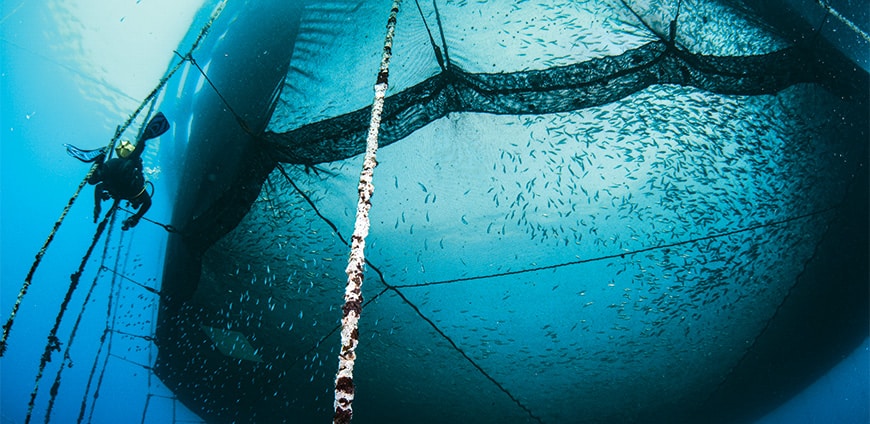 rp238_aquakulturen_slider9