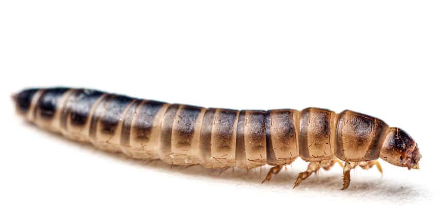 rp239_wuermer_slider5