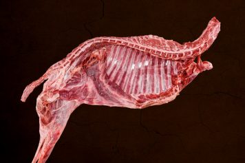 RP240-MD-Schaf-Ziege-Pferd-Esel-9-356x237