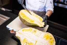 RP241-fb-jack-fruit-3-260x173