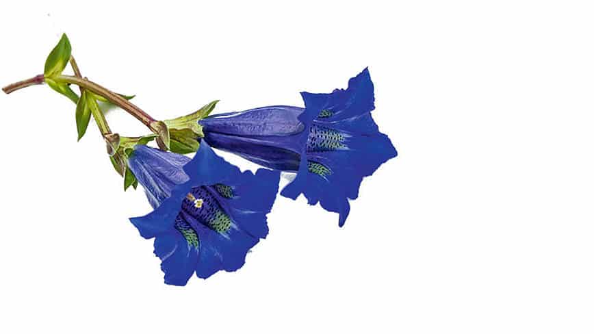 csm_rp235-MD-slider4_0ef4e5ee1e