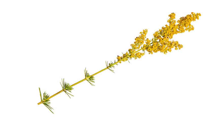 csm_rp235-MD-slider5_ef27468a34