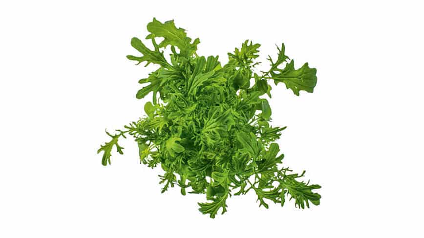 csm_rp235-MD-slider6_ee0fd7cee6