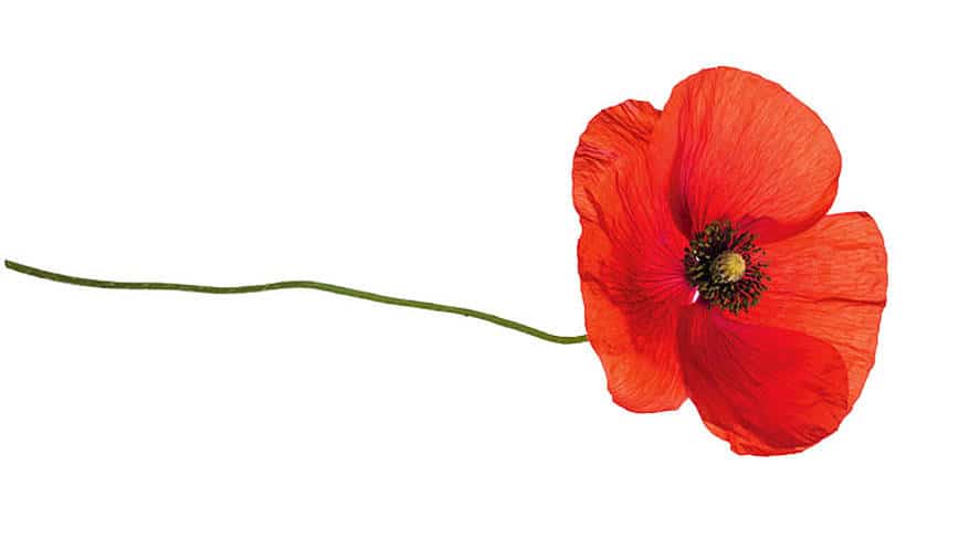 csm_rp235-MD-slider9_6f3750d93f