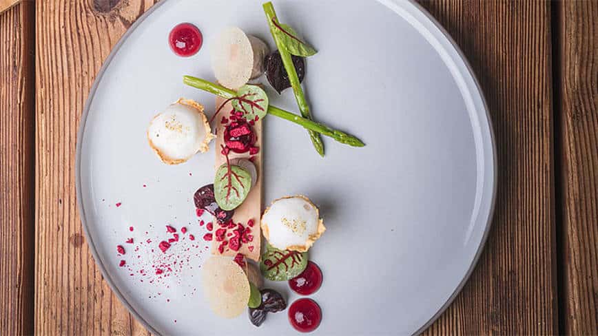 csm_rp235-rapa-at-koch-slider4_228ec04f76-1