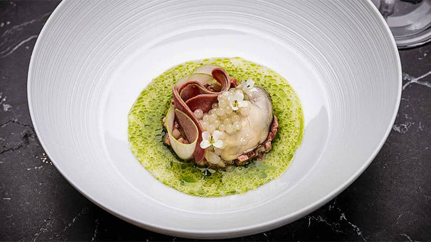 csm_rp235-rapa-de-aufsteiger-slider4_7d4e8e1939