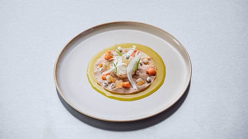 csm_rp235-rapa-de-koch-slider4_8a1cc9a784