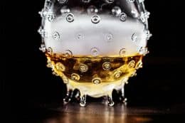 RP242-sip-mario-hofferer-3-260x173