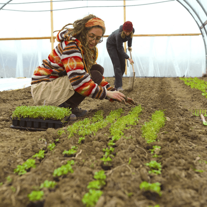 Bildschirmfoto-2021-04-20-um-14.30.59-e1618922306247