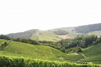 IMG_20210726_160649-356x237