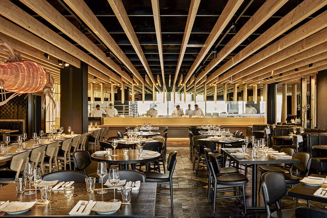 rp-259-rpa-de-maitre-02