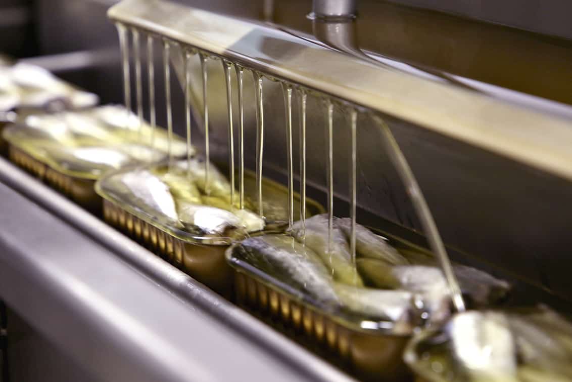 rp-262-fb-sardinen-5