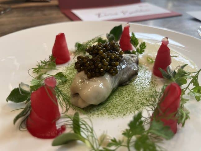 IMG_2304-scaled-e1646215480911