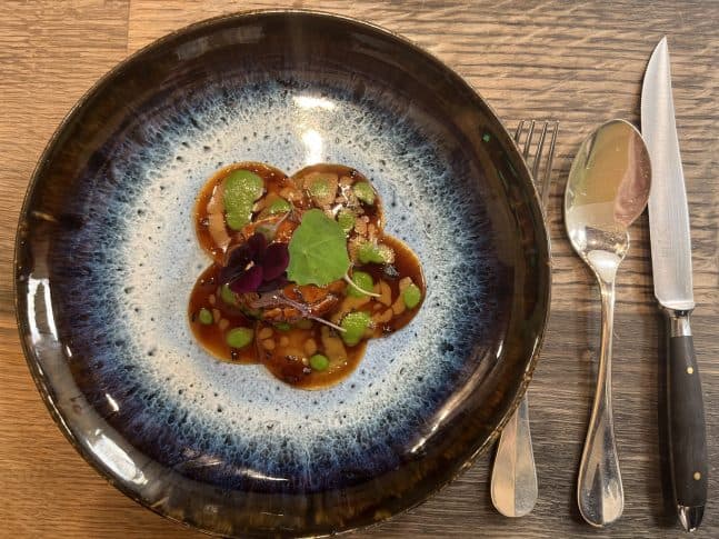 IMG_2328-scaled-e1646215491447