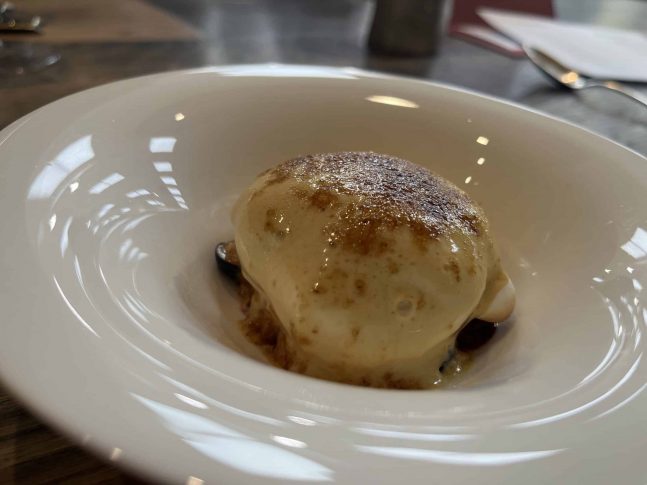 IMG_2403-scaled-e1646215643709