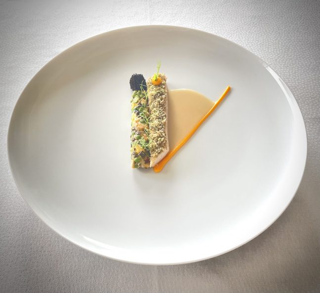 238_A9A50D5B-5FE8-4533-9ED3-1CF55EB7253B-scaled-e1650355516284