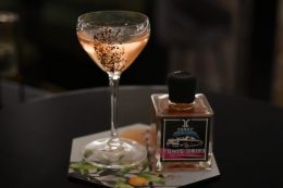 House-of-Suntory-Bottled-Cocktails-mit-Roku-Haku-und-Toki-1-e1656508539491-260x173