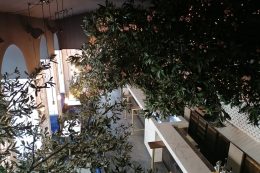 3677e6c9-9713-40a0-8702-f1d509e9eb75-260x173