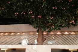 9bf7dae1-b018-4b83-822b-013d225f34ca-260x173