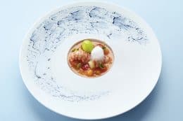 rp268-cotm-martin-klein-6-260x173