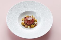 rp268-cotm-martin-klein-7-260x173