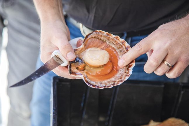 rp268-fb-krustentier-3-e1662554493420