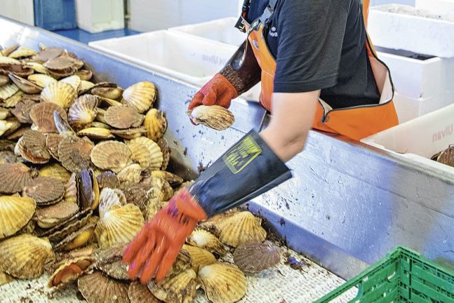 rp268-fb-krustentier-5-e1662554575450