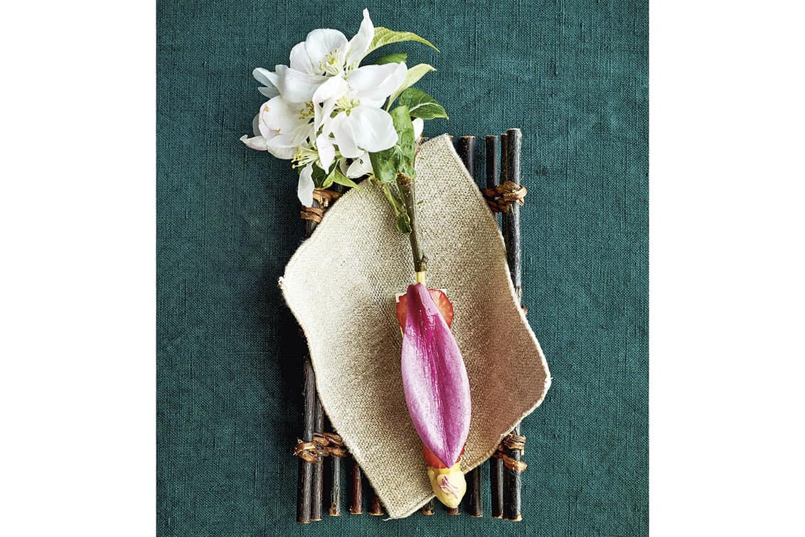 rp268-spst-50next-11