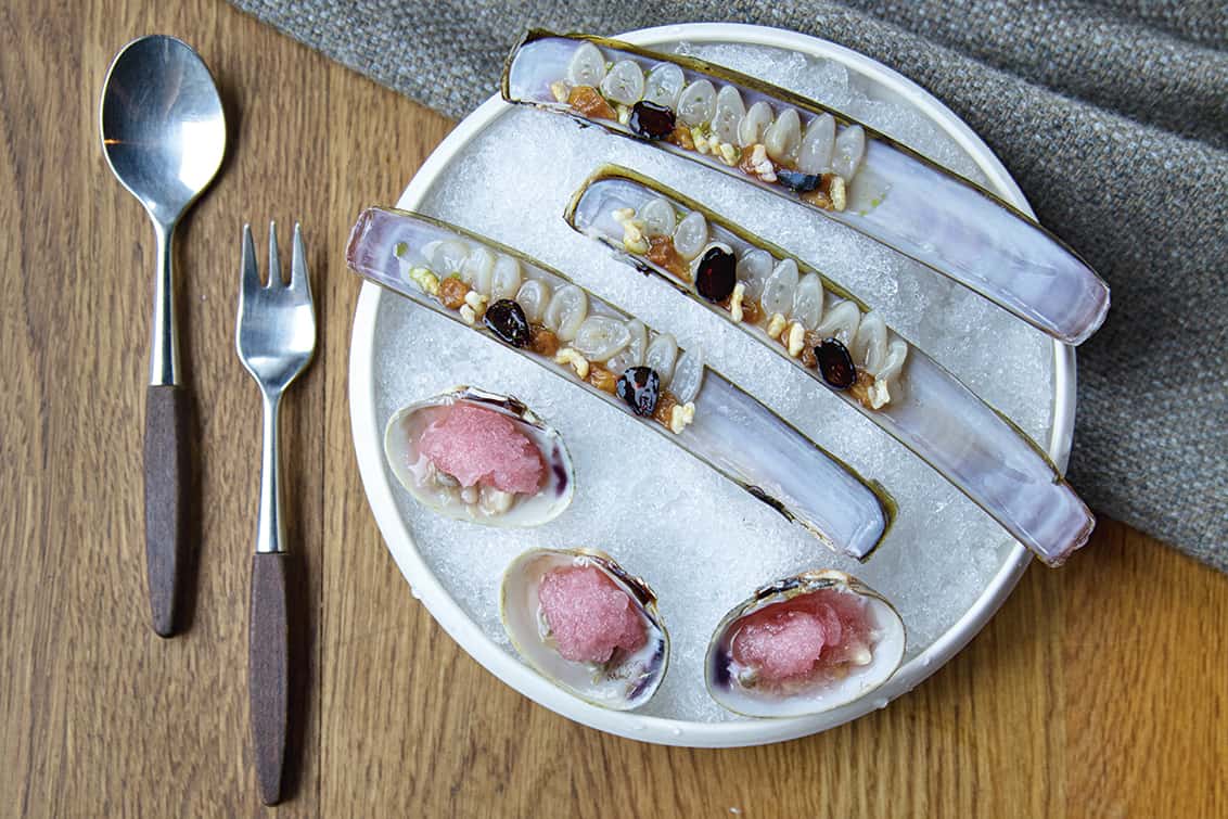 rp269-cotm-Heidi-Bjerkan-7